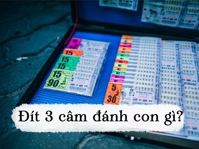 Đít 3 câm đánh con gì vào hôm sau để thu được nhiều tài lộc?